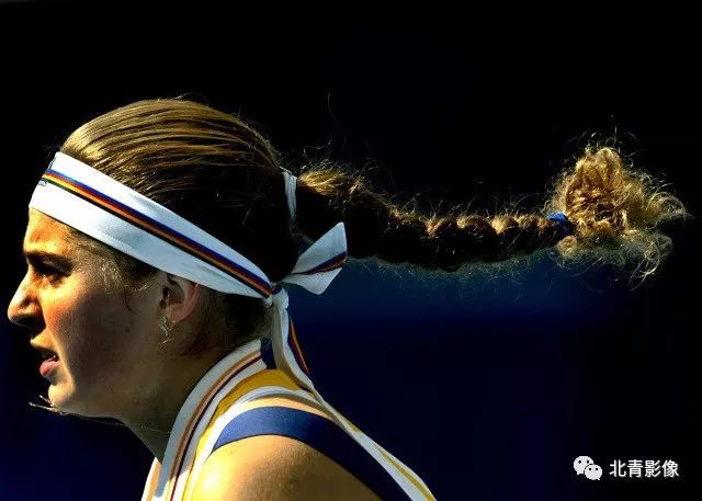 造德甲新高 造德甲新高